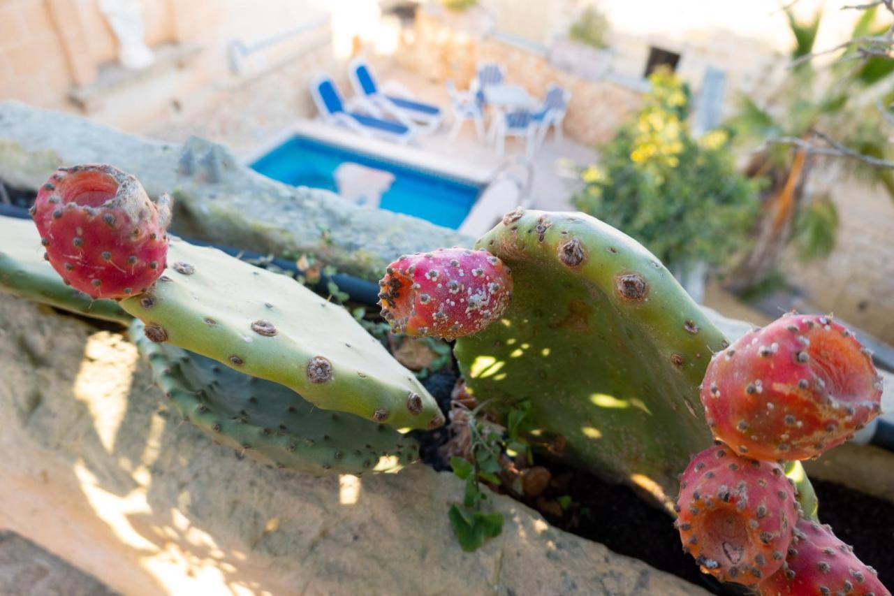 Prickly Pear Holiday Home No.1 San Lawrenz Dış mekan fotoğraf