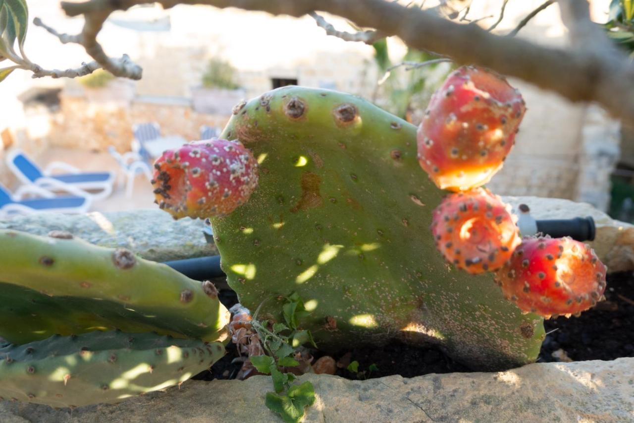 Prickly Pear Holiday Home No.1 San Lawrenz Dış mekan fotoğraf