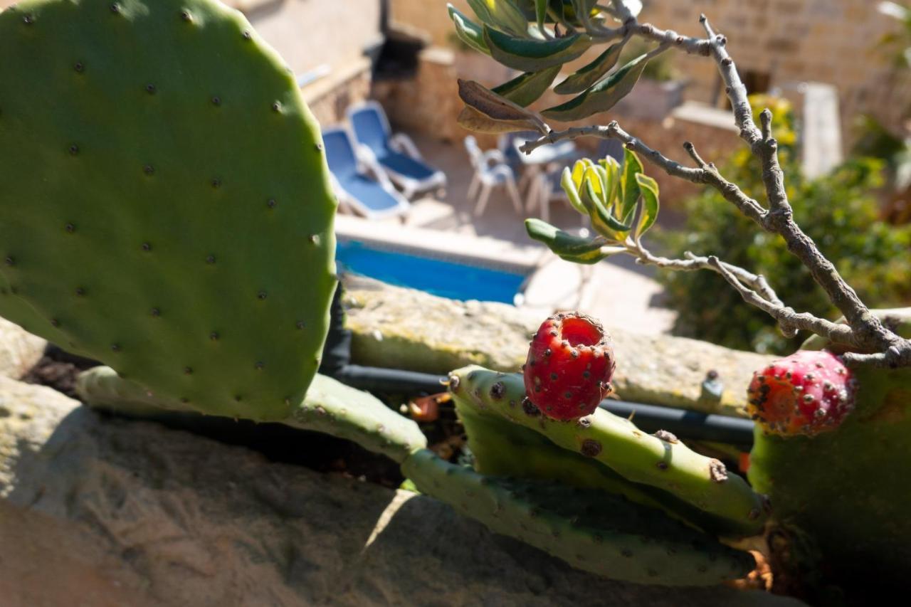 Prickly Pear Holiday Home No.1 San Lawrenz Dış mekan fotoğraf